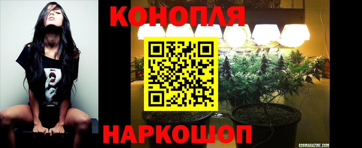 Бошки марихуана MAZAR  Вход с VPN  Шишки марихуана SATIVA & INDICA  Магнитогорск 